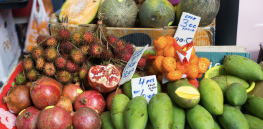 Viewpoint: The case for Malaysia to develop gene edited fruits